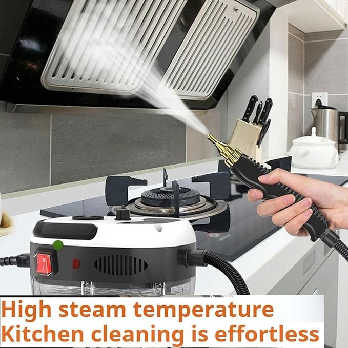 Pressurized Steam Cleaner